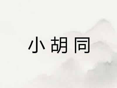 小胡同