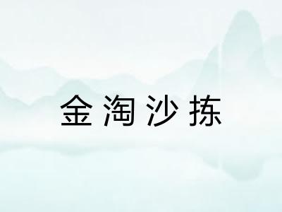 金淘沙拣