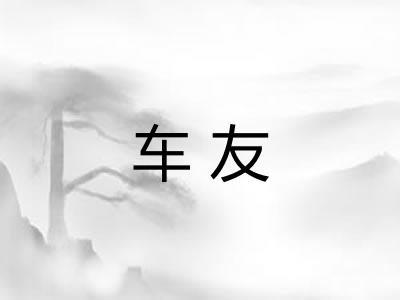 车友