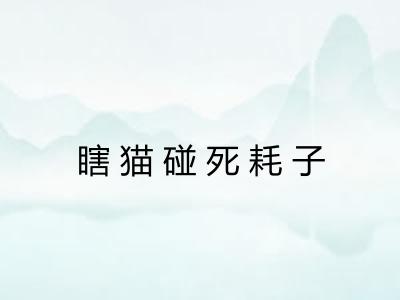 瞎猫碰死耗子