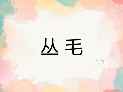 丛毛