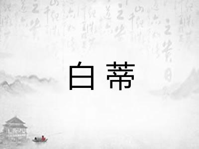 白蒂