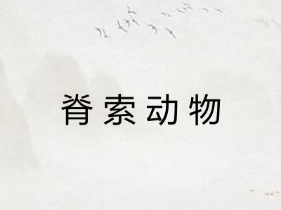 脊索动物