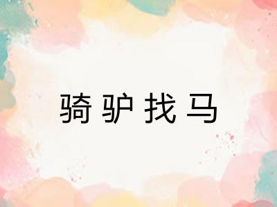 骑驴找马