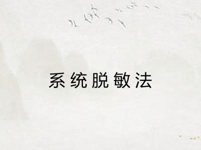系统脱敏法