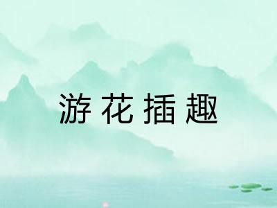 游花插趣