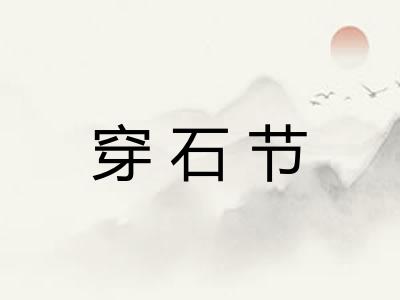穿石节
