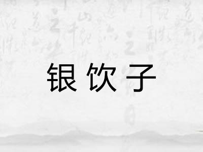 银饮子