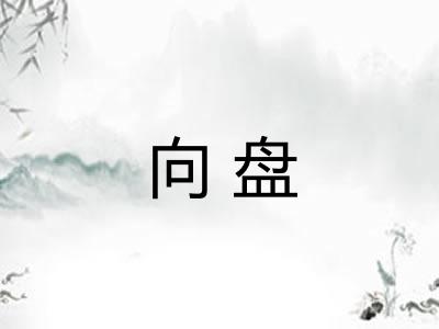 向盘