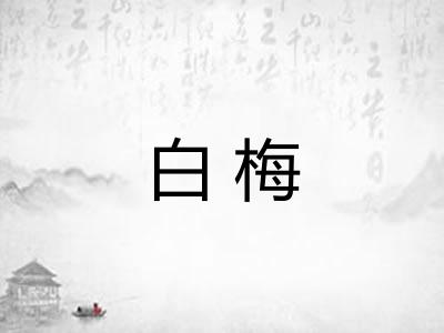 白梅