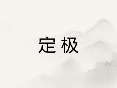 定极