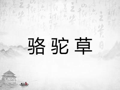 骆驼草