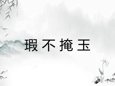 瑕不掩玉