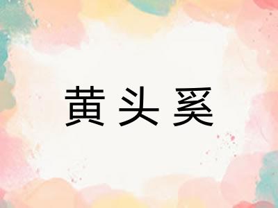 黄头奚