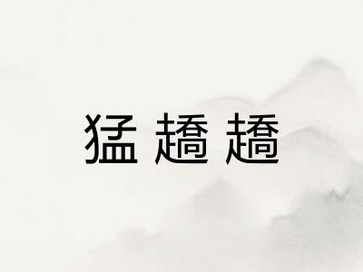 猛趫趫