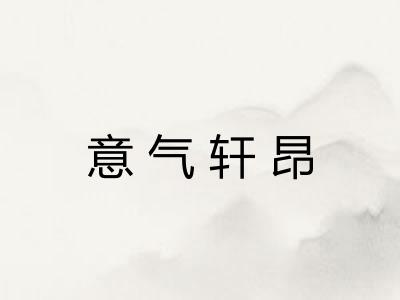 意气轩昂