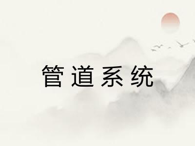 管道系统
