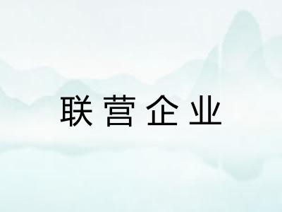 联营企业