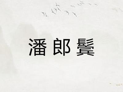 潘郎鬓