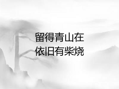 留得青山在依旧有柴烧