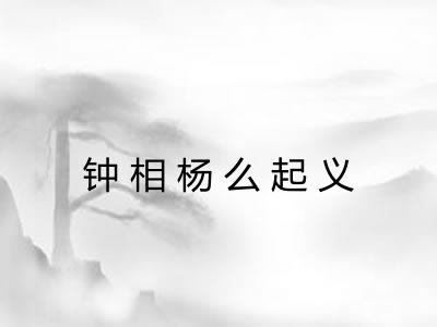 钟相杨么起义