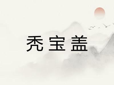 秃宝盖