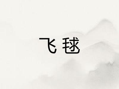 飞毬