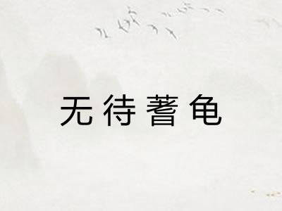 无待蓍龟