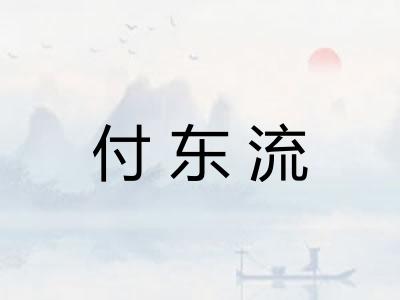 付东流