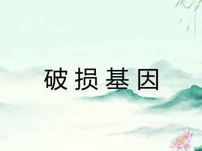 破损基因