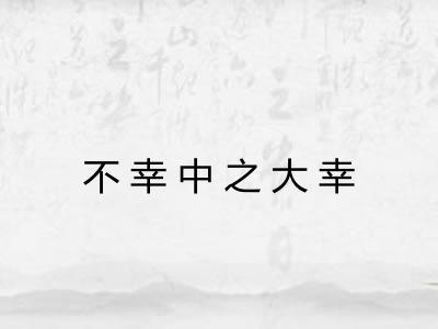 不幸中之大幸