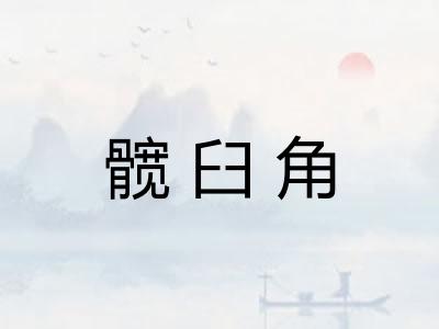 髋臼角