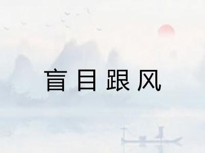 盲目跟风