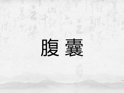 腹囊