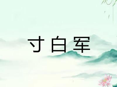 寸白军