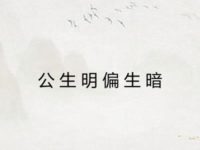 公生明偏生暗