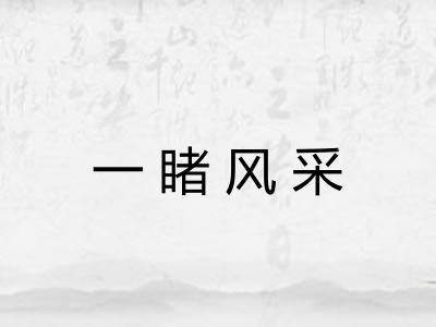 一睹风采