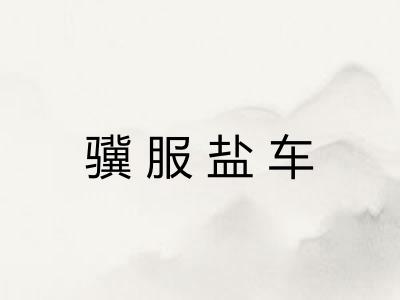 骥服盐车
