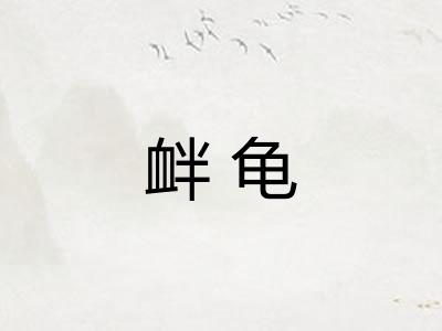 衅龟