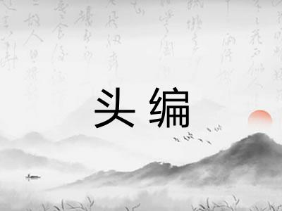 头编