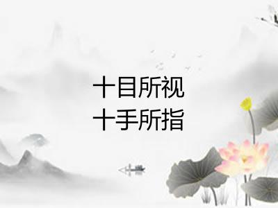 十目所视十手所指