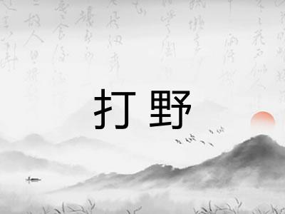 打野