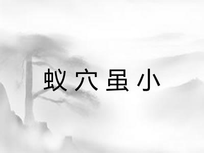 蚁穴虽小