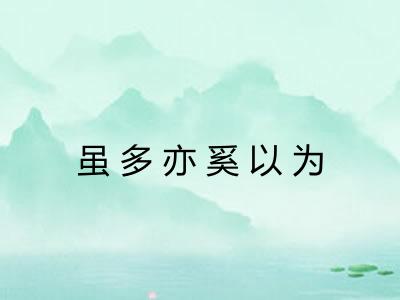 虽多亦奚以为