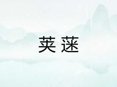 荚蒾