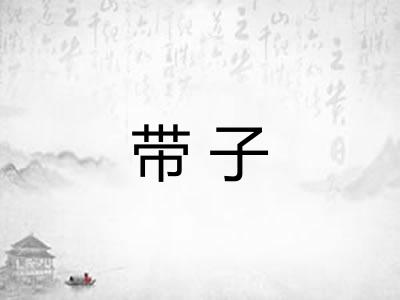 带子