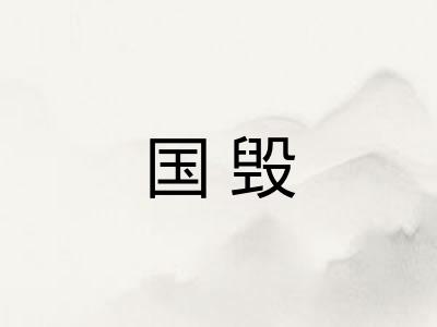 国毁