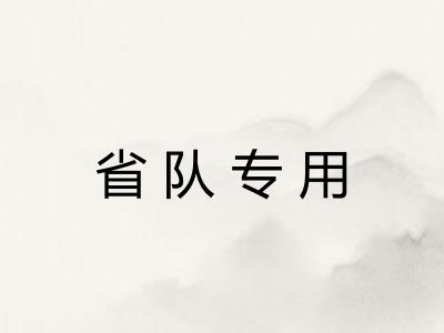 省队专用