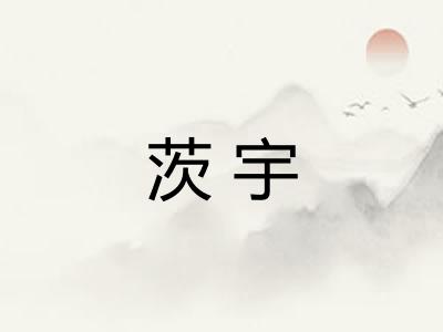 茨宇
