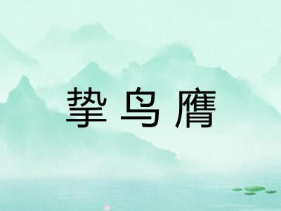 挚鸟膺